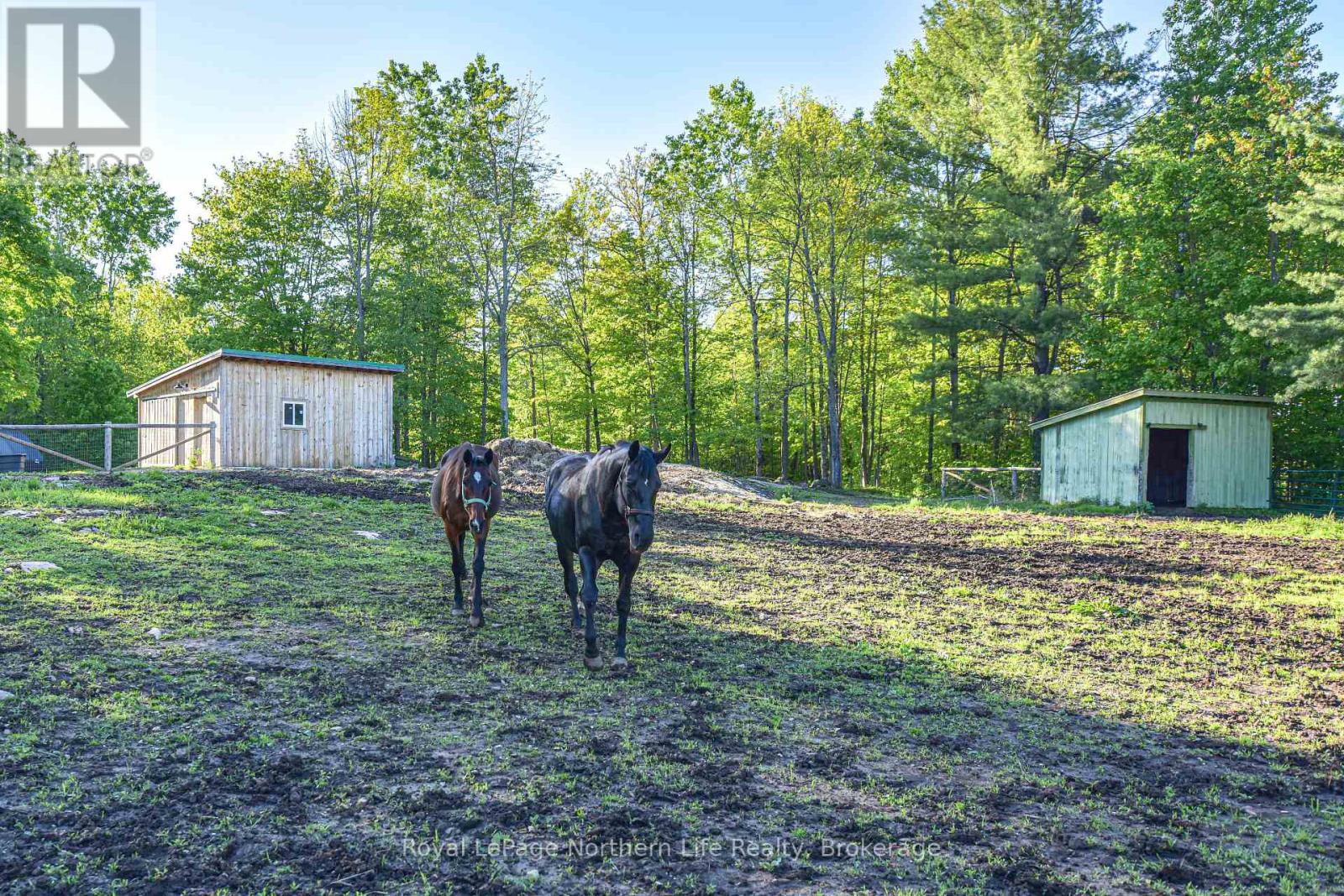 1028 Carlyon Line, Severn, Ontario  L3V 0W8 - Photo 43 - S12317072