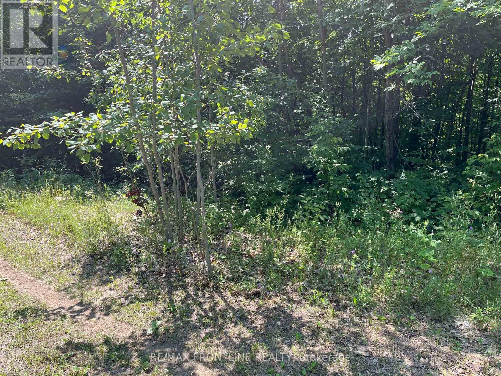 0 Red Pine Road, Tay Valley, Ontario  K0H 2B0 - Photo 3 - X12317126