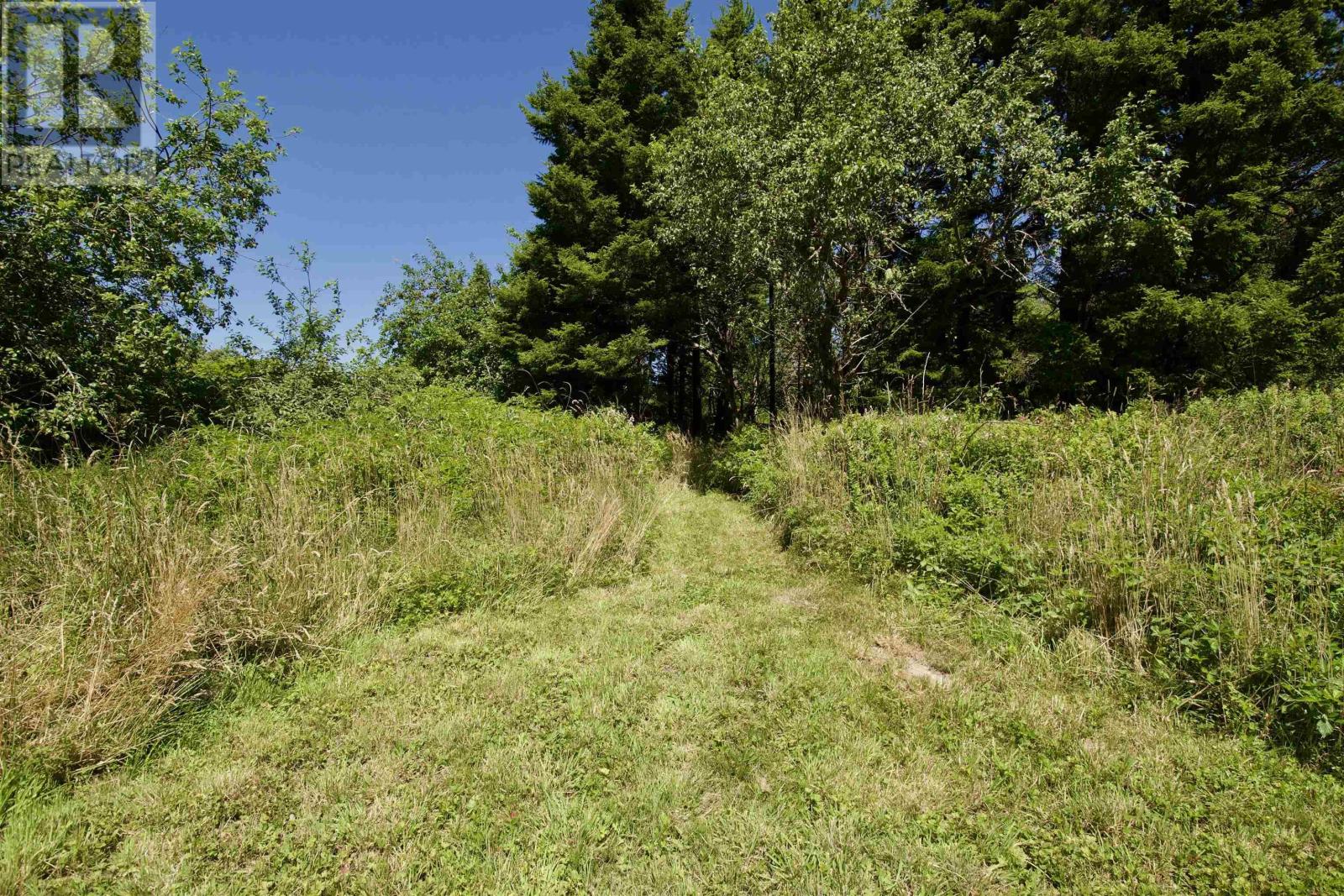 2450 West Sable Road, Little Harbour, Nova Scotia  B0T 1V0 - Photo 27 - 202519220