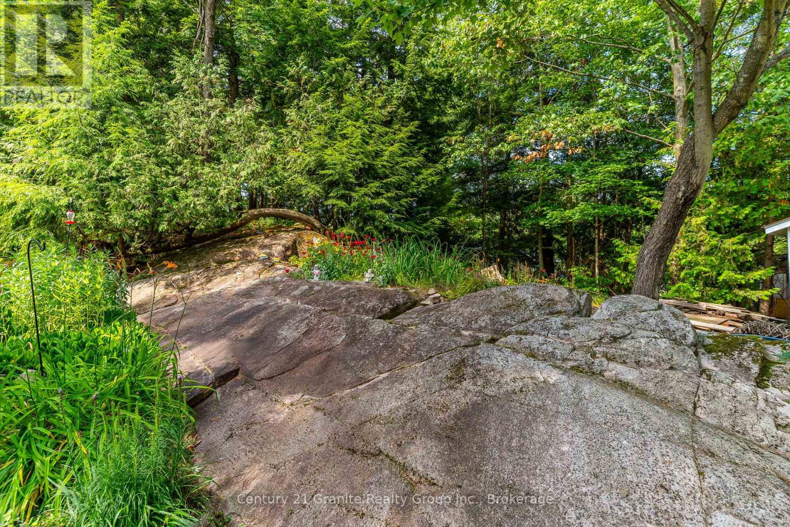 7575 Highway 35, Kawartha Lakes (Laxton/digby/longford), Ontario  K0M 2L0 - Photo 21 - X12317347