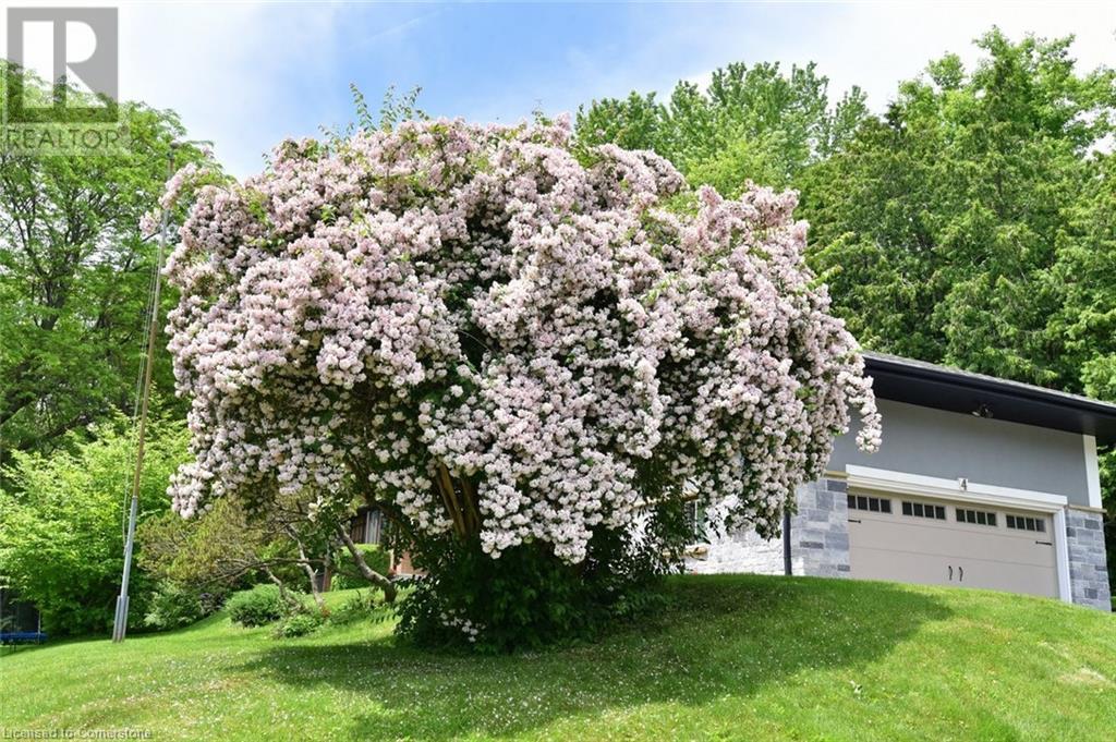 4 Sun Avenue, Dundas, Ontario  L9H 5A5 - Photo 6 - 40756344