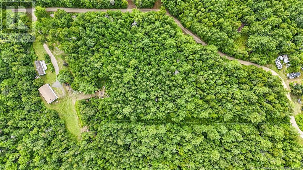 206 Harper Settlement Road, Anagance, New Brunswick  E4Z 1E1 - Photo 23 - NB124079