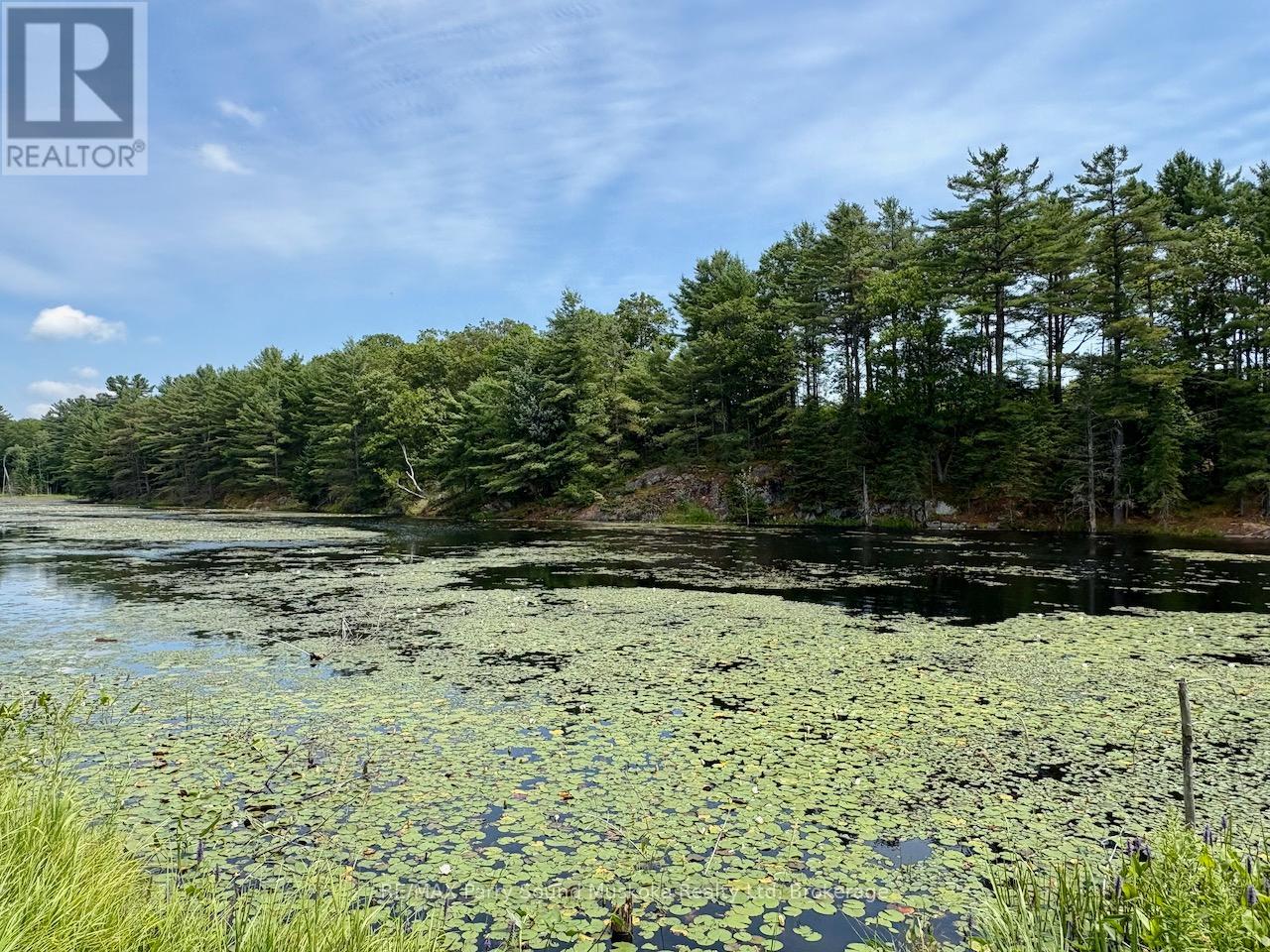 2 Leeds Road, Seguin, Ontario  P2A 2W8 - Photo 13 - X12317520