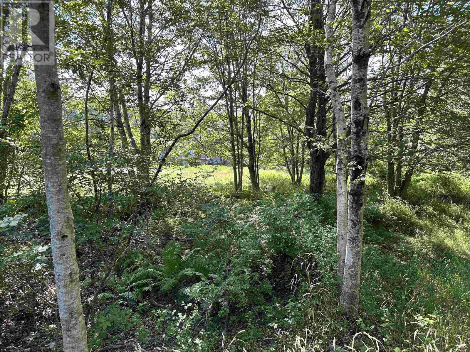 41 James Street, Brooklyn, Nova Scotia  B0J 1H0 - Photo 24 - 202519247