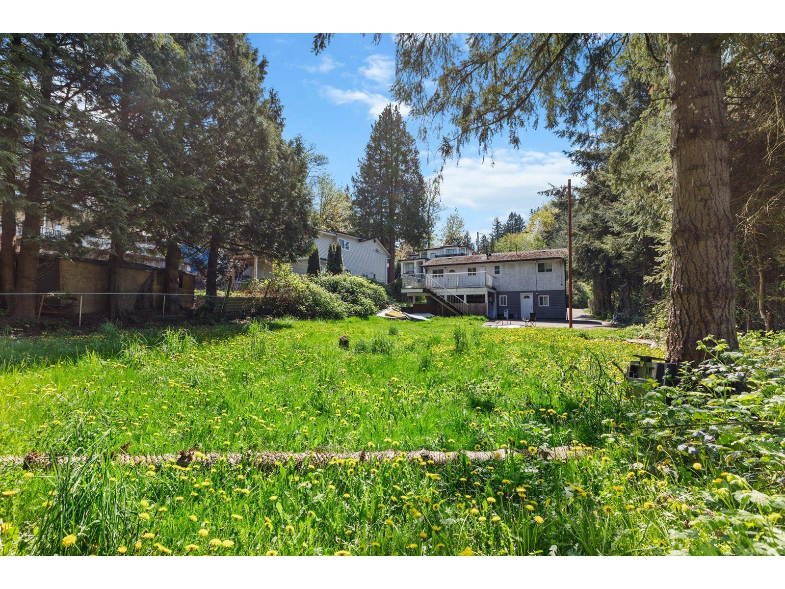 12347 103a Avenue, Surrey, British Columbia  V3V 3H1 - Photo 29 - R3015507