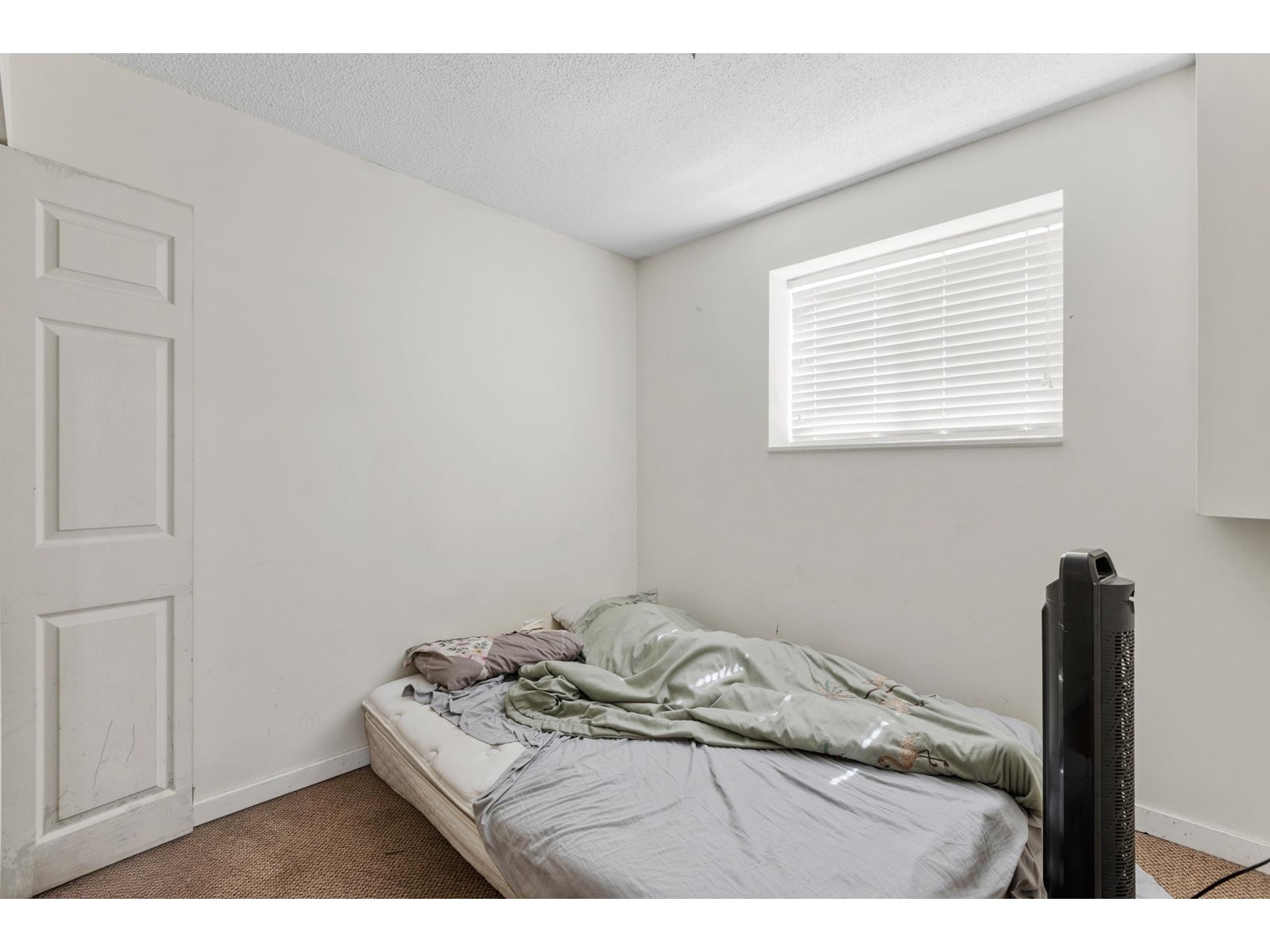 12347 103a Avenue, Surrey, British Columbia  V3V 3H1 - Photo 23 - R3015507