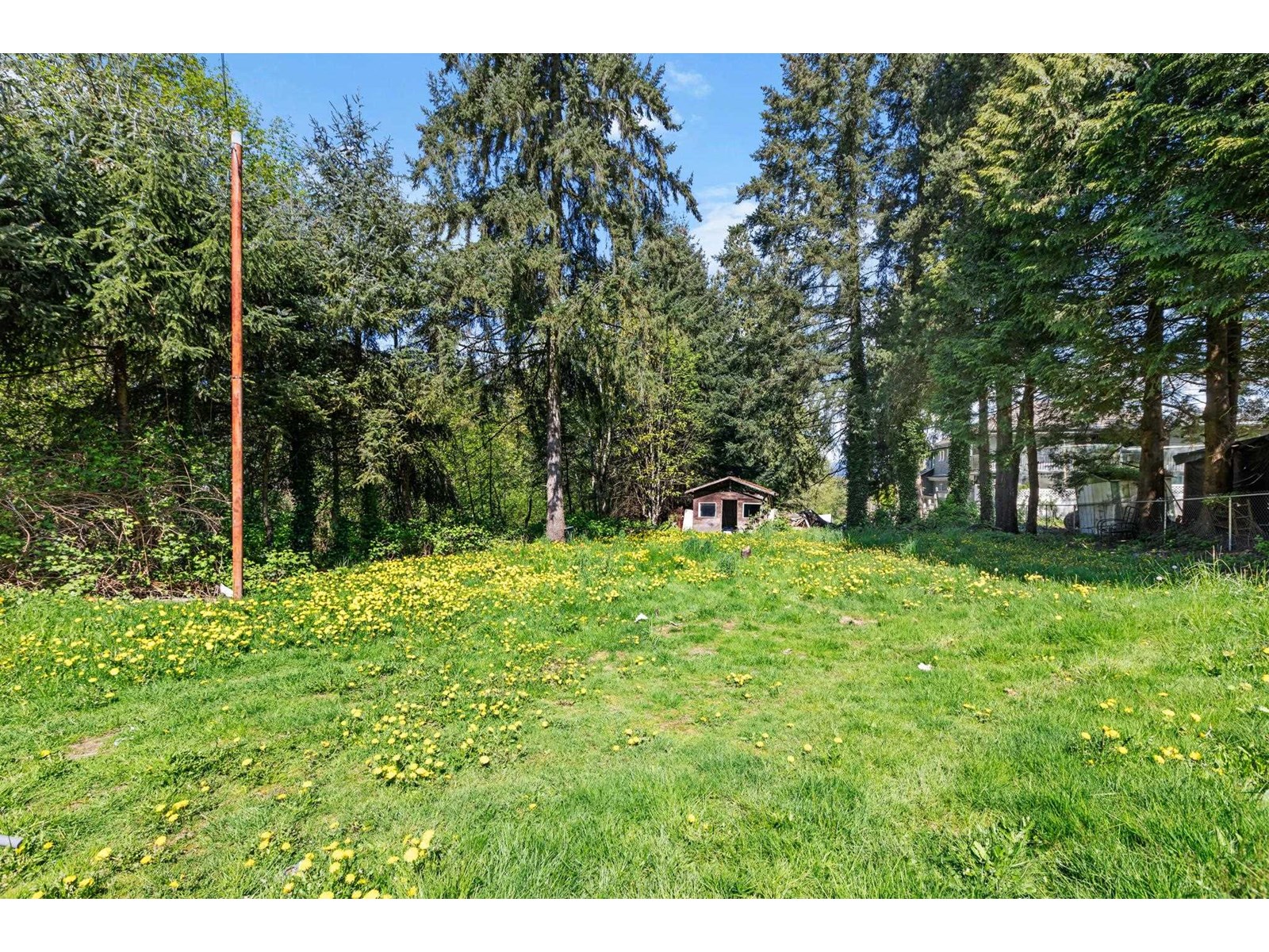 12347 103a Avenue, Surrey, British Columbia  V3V 3H1 - Photo 27 - R3015507