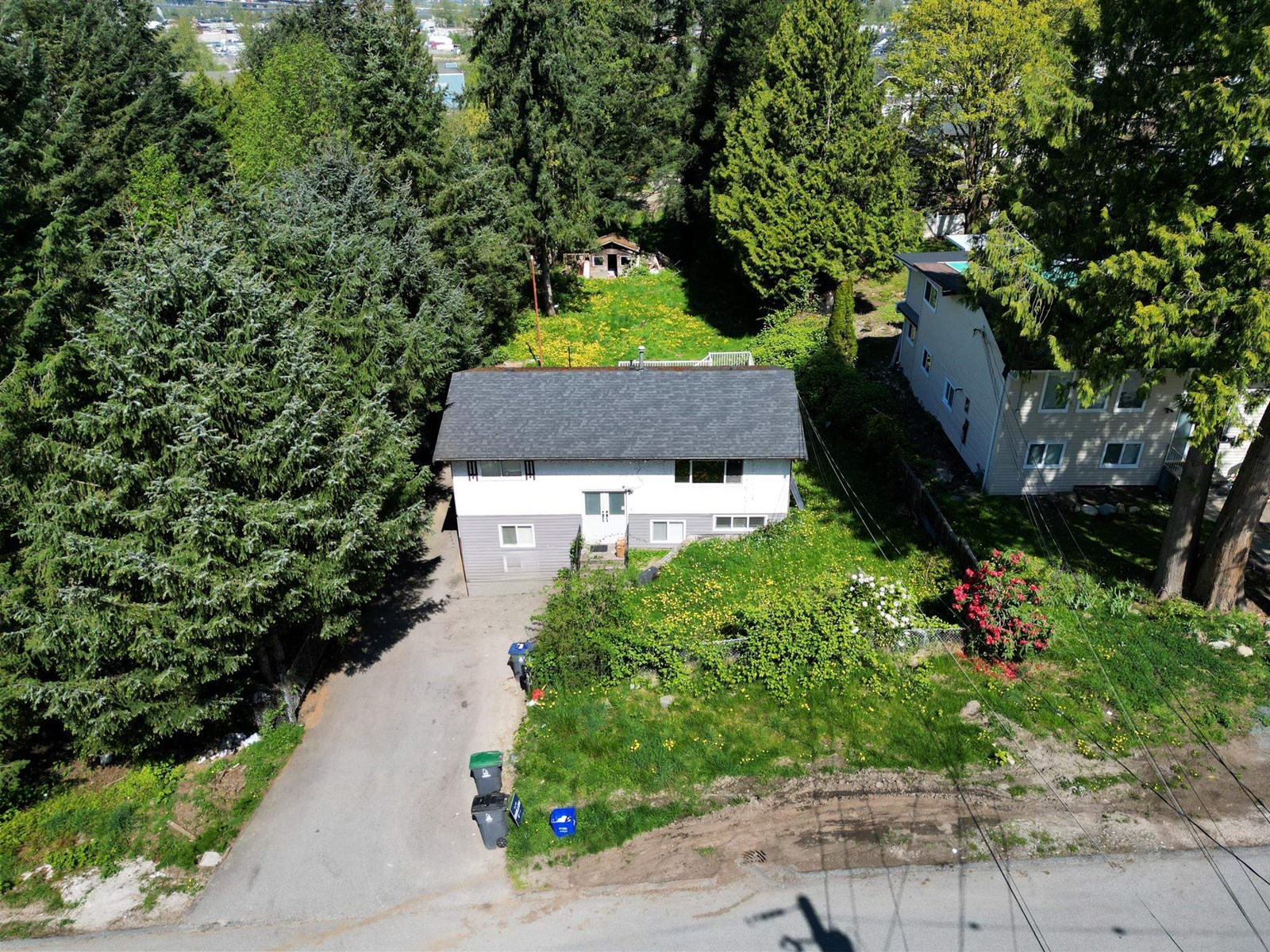 12347 103a Avenue, Surrey, British Columbia  V3V 3H1 - Photo 31 - R3015507