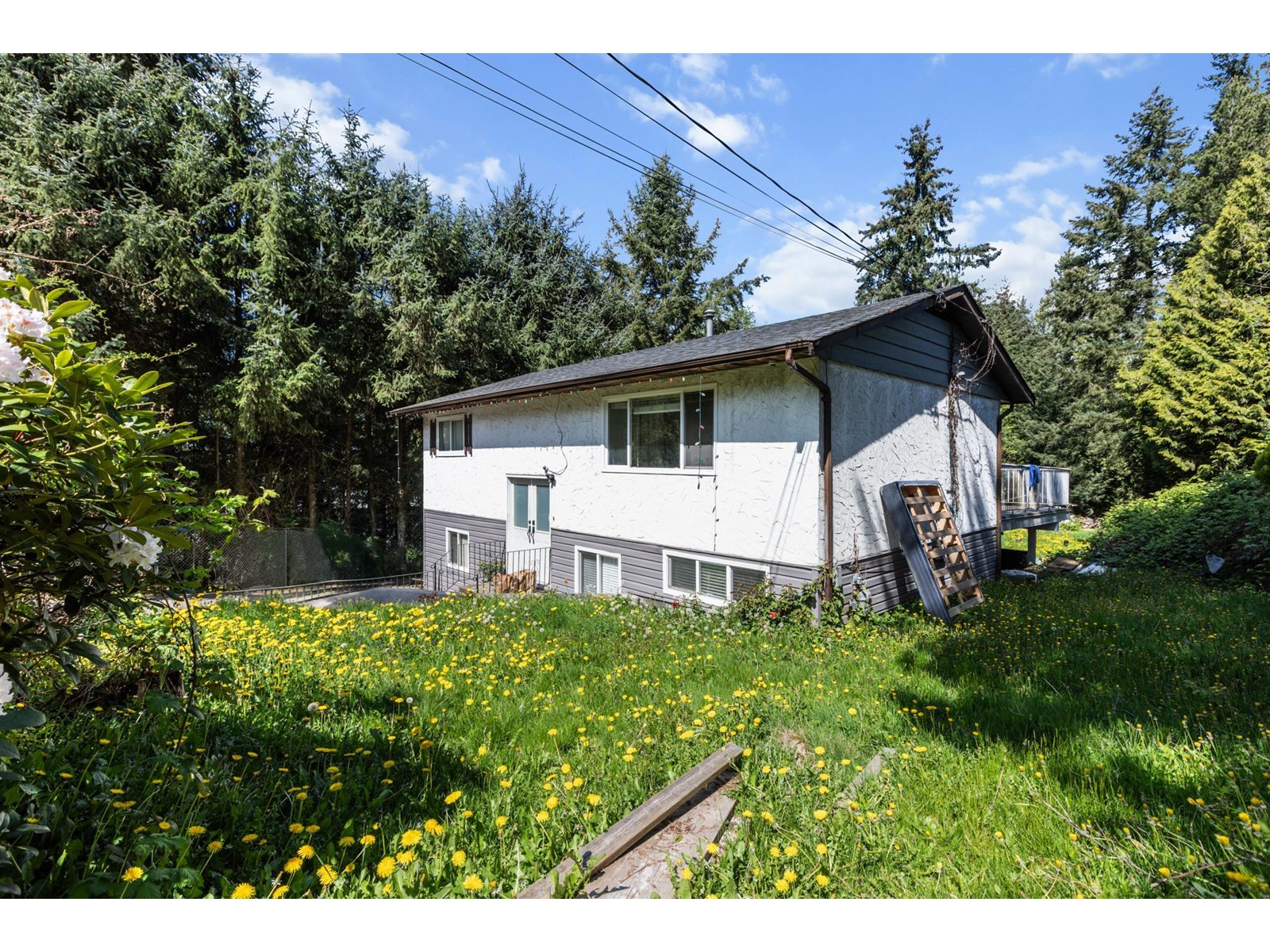 12347 103a Avenue, Surrey, British Columbia  V3V 3H1 - Photo 24 - R3015507