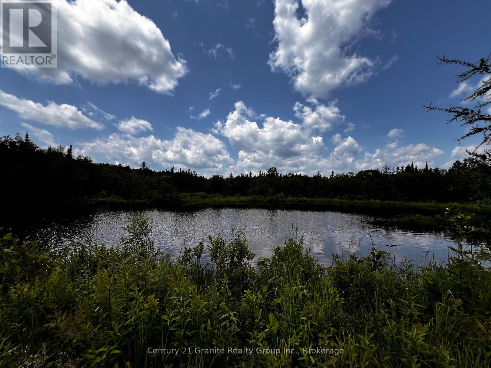 10 Hillside Road, Hastings Highlands, Ontario  K0L 1C0 - Photo 32 - X12317580