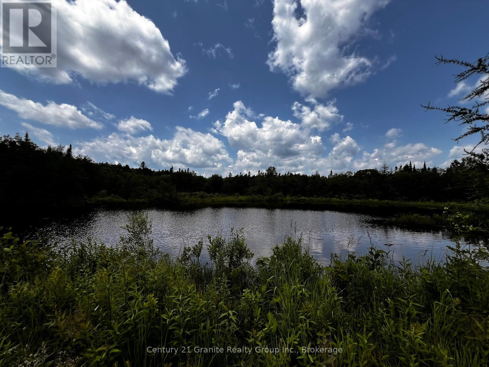 10 Hillside Road, Hastings Highlands, Ontario  K0L 1C0 - Photo 44 - X12317580