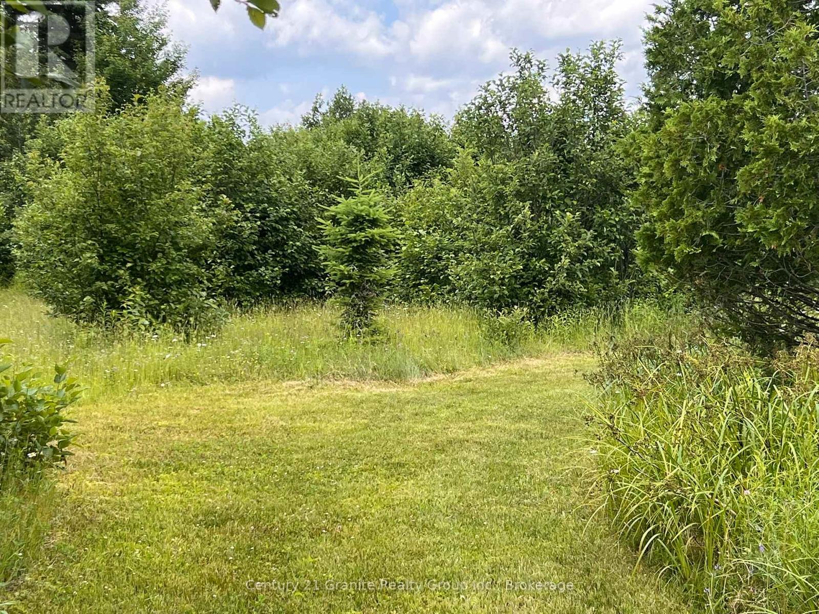 10 Hillside Road, Hastings Highlands, Ontario  K0L 1C0 - Photo 48 - X12317580