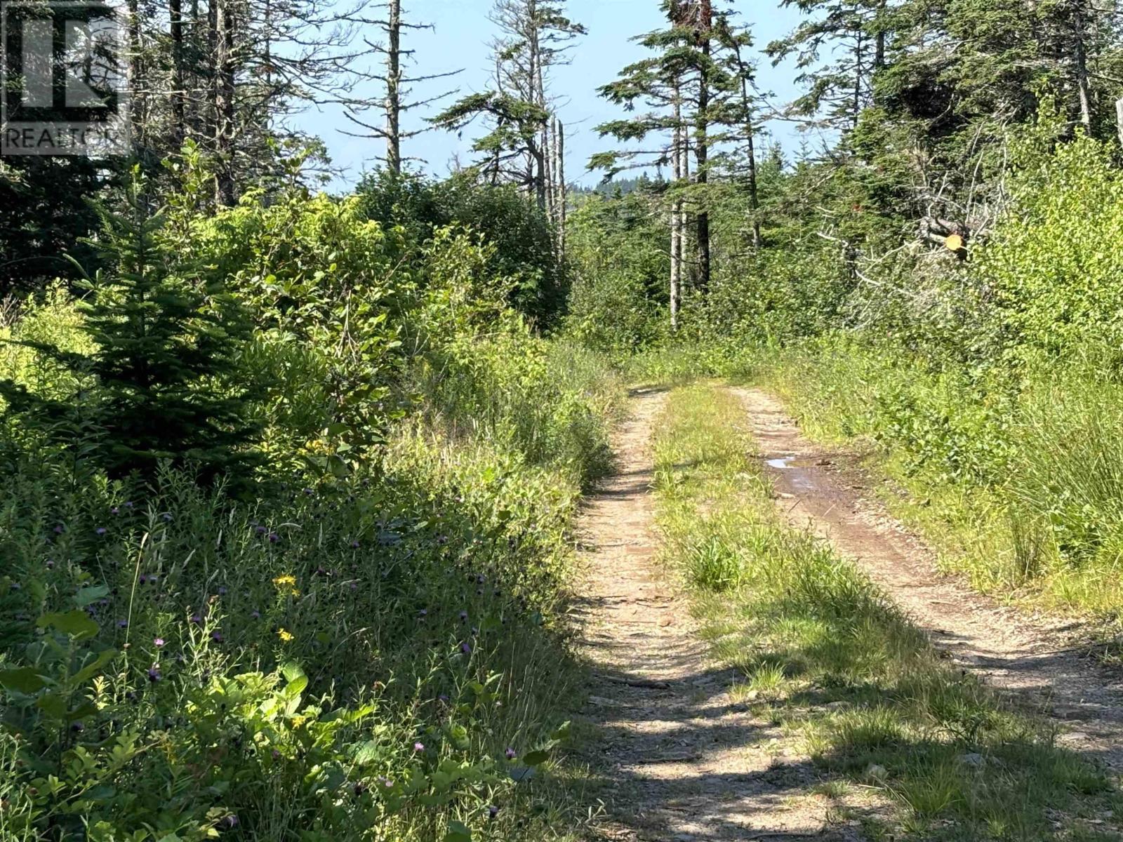 Lot 1 Old Post Road, Lake Midway, Nova Scotia  B0V 1A0 - Photo 1 - 202519259