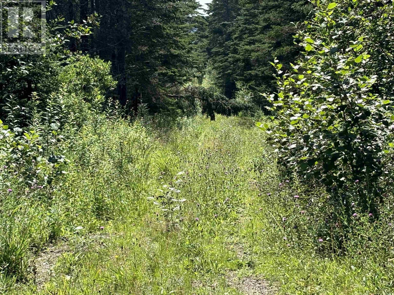 Lot 1 Old Post Road, Lake Midway, Nova Scotia  B0V 1A0 - Photo 2 - 202519259