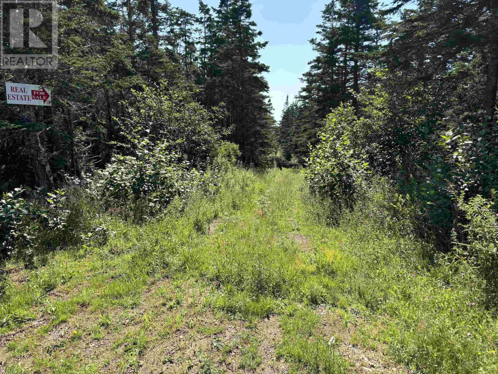 Lot 1 Old Post Road, Lake Midway, Nova Scotia  B0V 1A0 - Photo 3 - 202519259