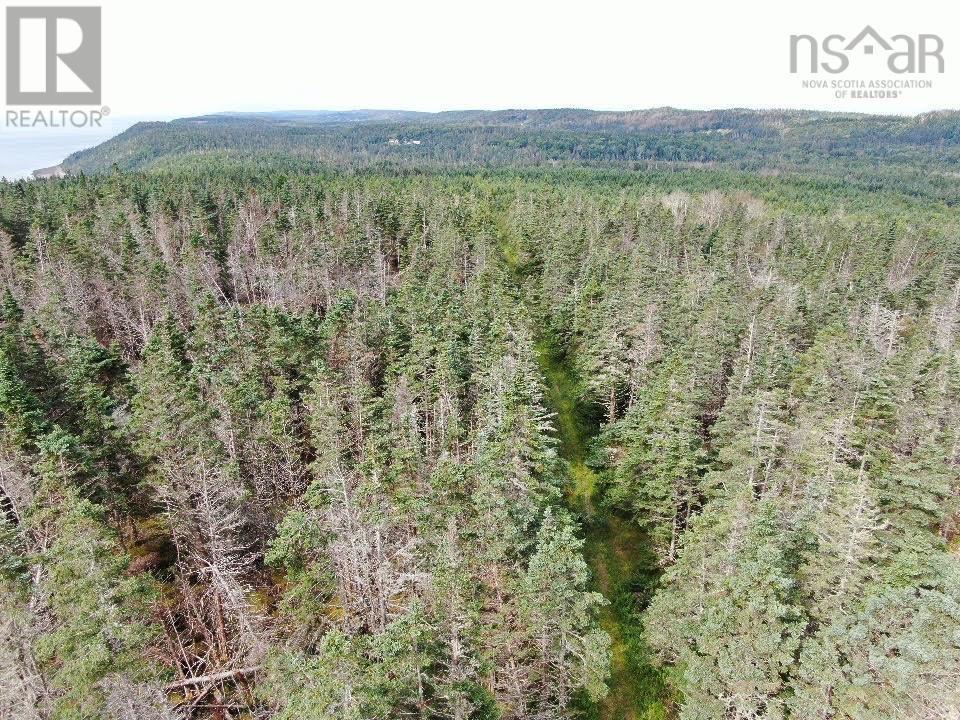 Lot 1 Old Post Road, Lake Midway, Nova Scotia  B0V 1A0 - Photo 4 - 202519259