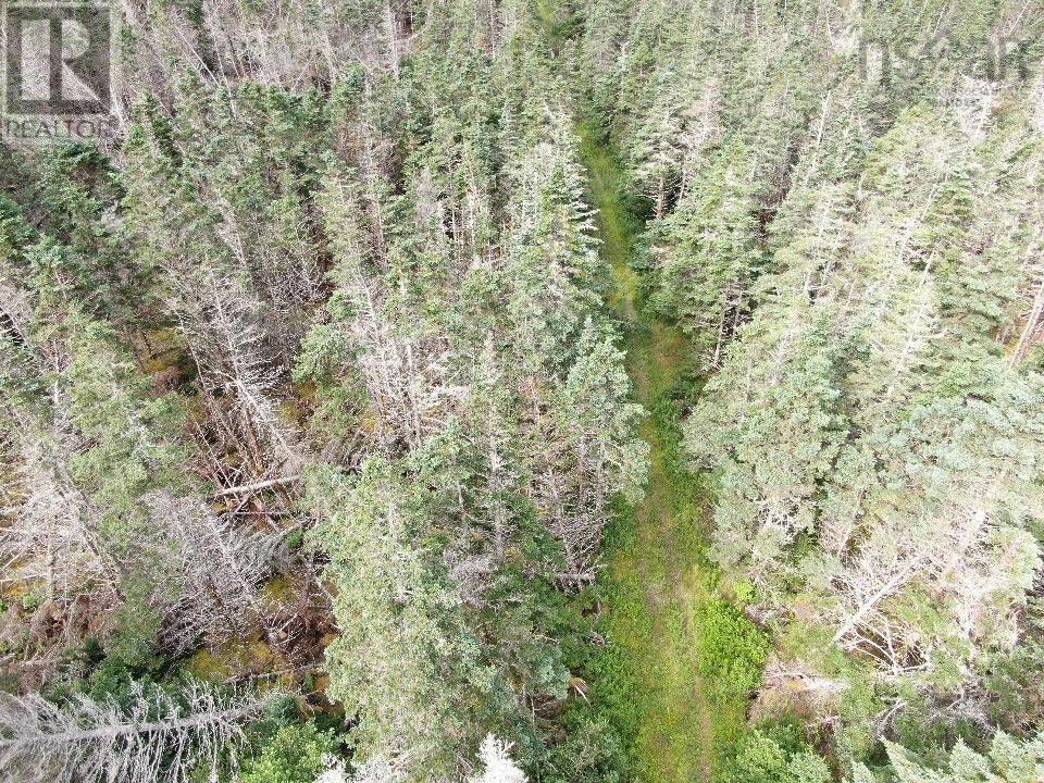 Lot 1 Old Post Road, Lake Midway, Nova Scotia  B0V 1A0 - Photo 5 - 202519259
