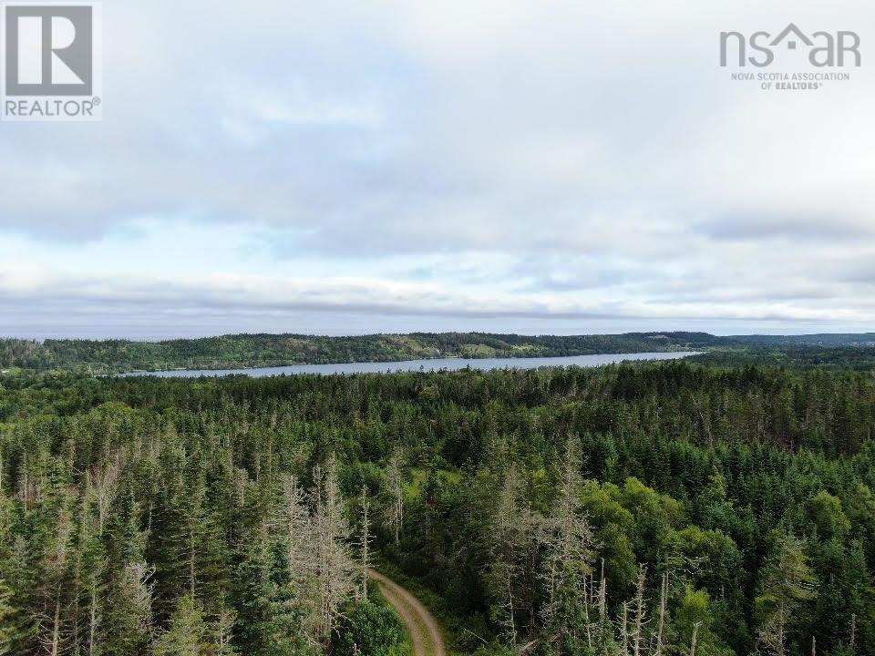 Lot 1 Old Post Road, Lake Midway, Nova Scotia  B0V 1A0 - Photo 6 - 202519259