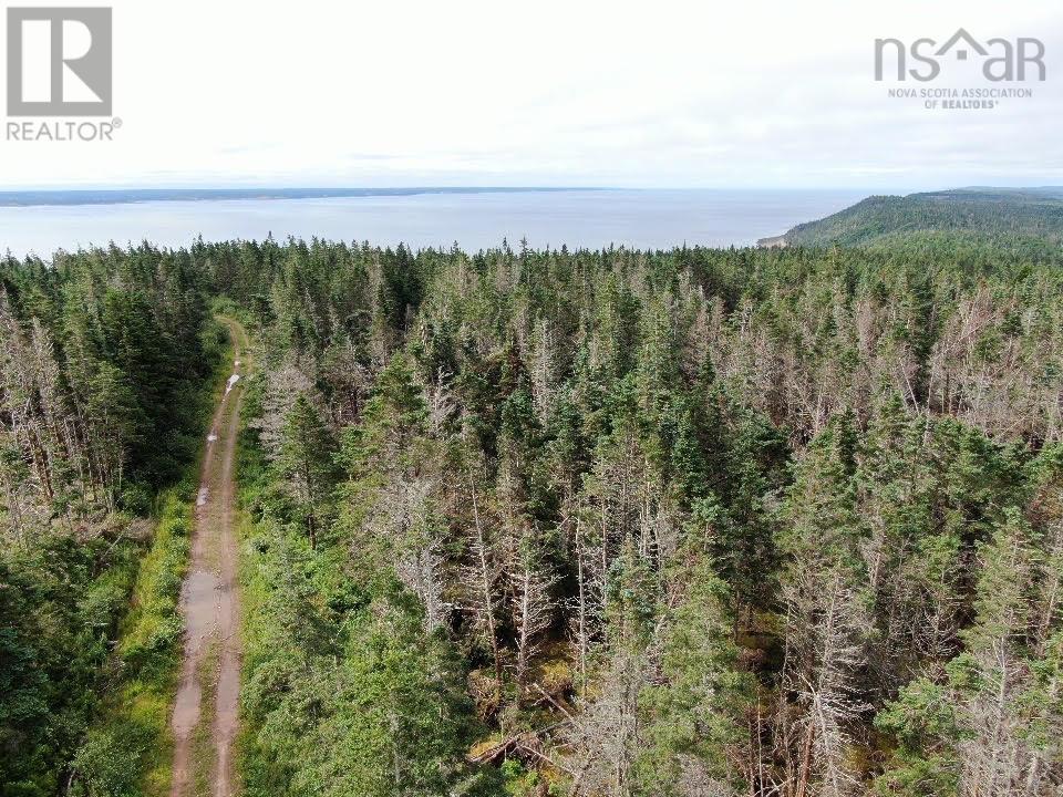Lot 1 Old Post Road, Lake Midway, Nova Scotia  B0V 1A0 - Photo 7 - 202519259