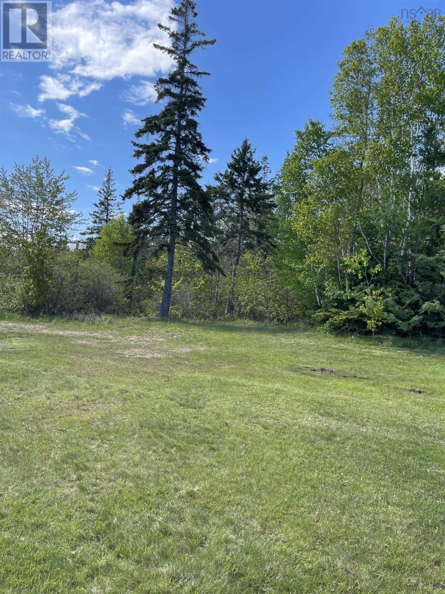 39 Tamarack Lane, Baddeck, Nova Scotia  B0E 1B0 - Photo 3 - 202508616