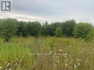 00 Atkins Lake Road, Elizabethtown-Kitley, Ontario  K0E 1H0 - Photo 20 - X12138383