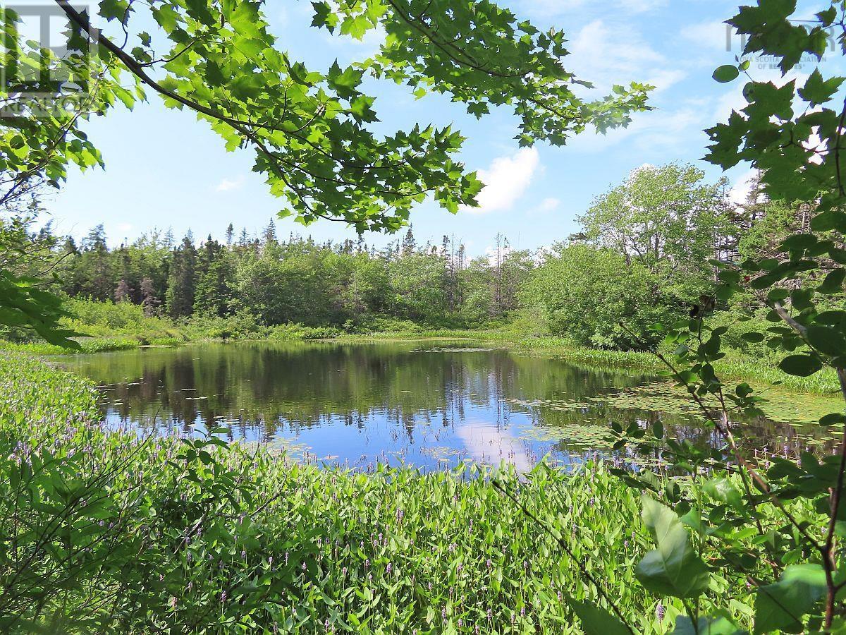 206 Highway, Lake Road, Grand Lake, Nova Scotia  B0E 1A0 - Photo 15 - 202316445