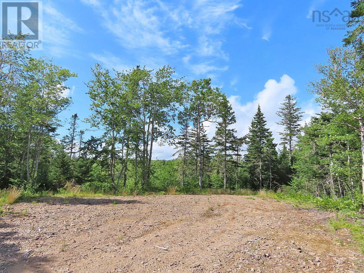 206 Highway, Lake Road, Grand Lake, Nova Scotia  B0E 1A0 - Photo 14 - 202316445