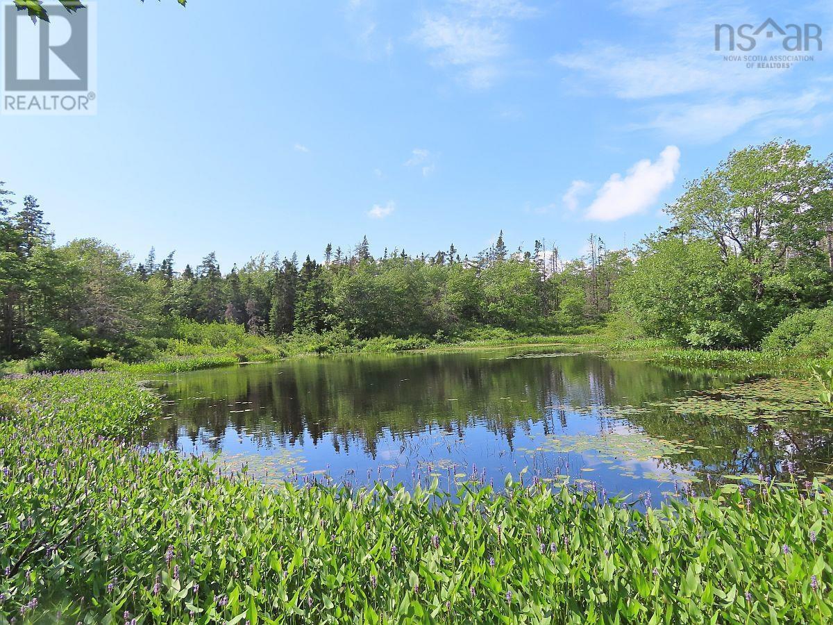 206 Highway, Lake Road, Grand Lake, Nova Scotia  B0E 1A0 - Photo 16 - 202316445
