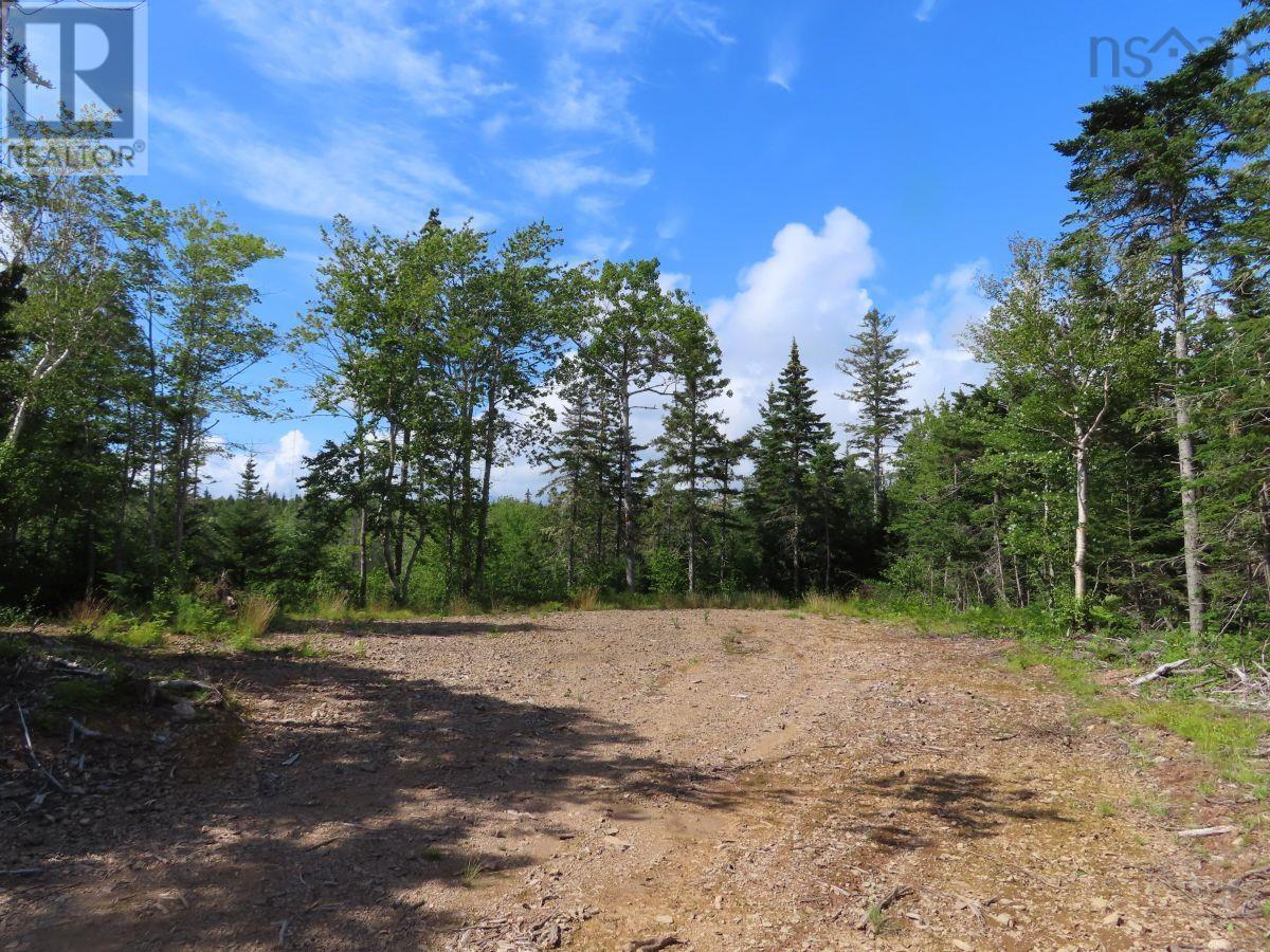 206 Highway, Lake Road, Grand Lake, Nova Scotia  B0E 1A0 - Photo 27 - 202316445