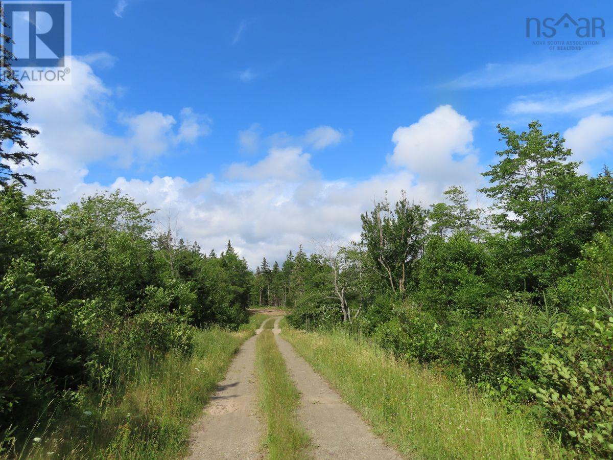 206 Highway, Lake Road, Grand Lake, Nova Scotia  B0E 1A0 - Photo 26 - 202316445