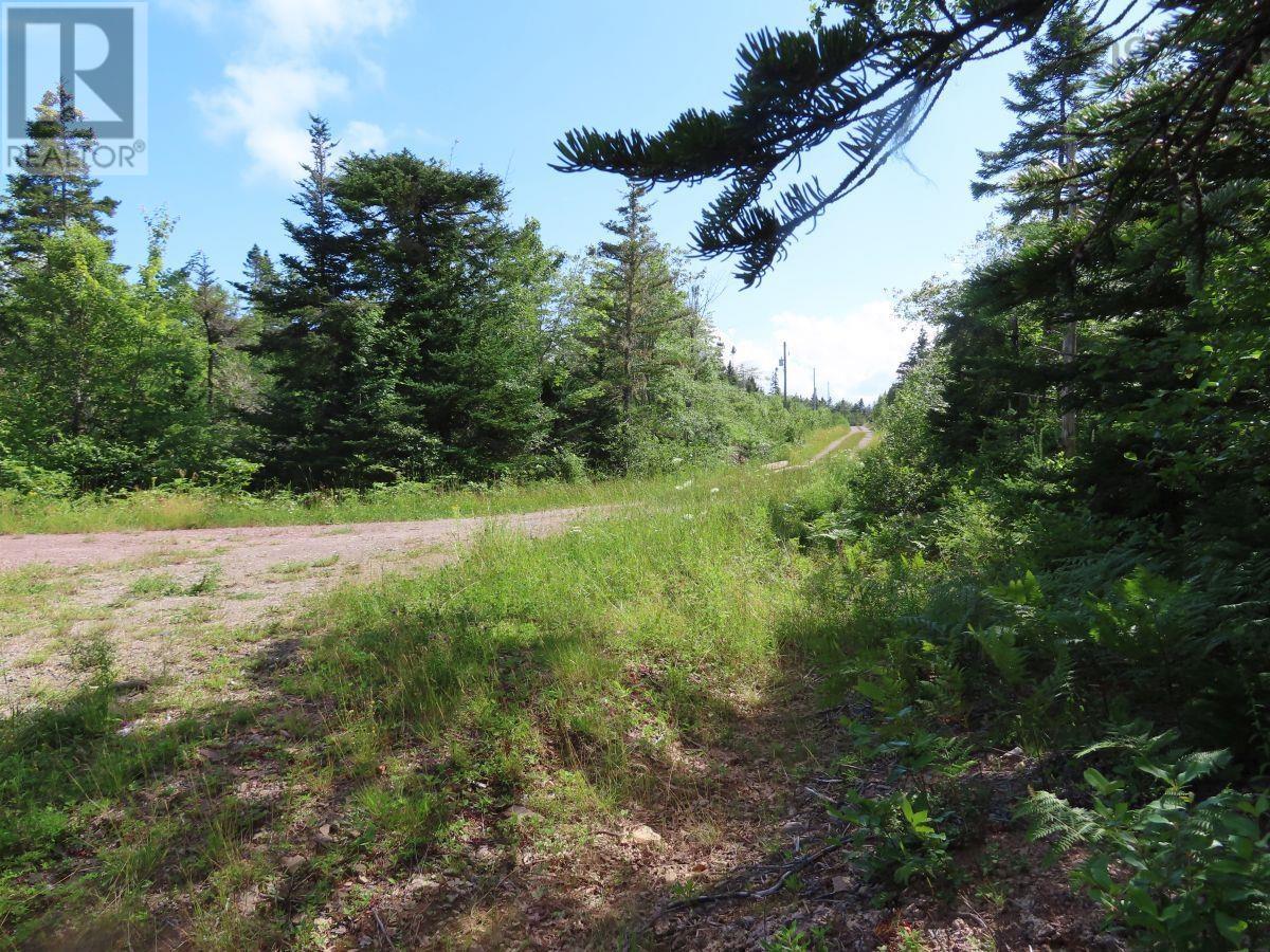 206 Highway, Lake Road, Grand Lake, Nova Scotia  B0E 1A0 - Photo 30 - 202316445
