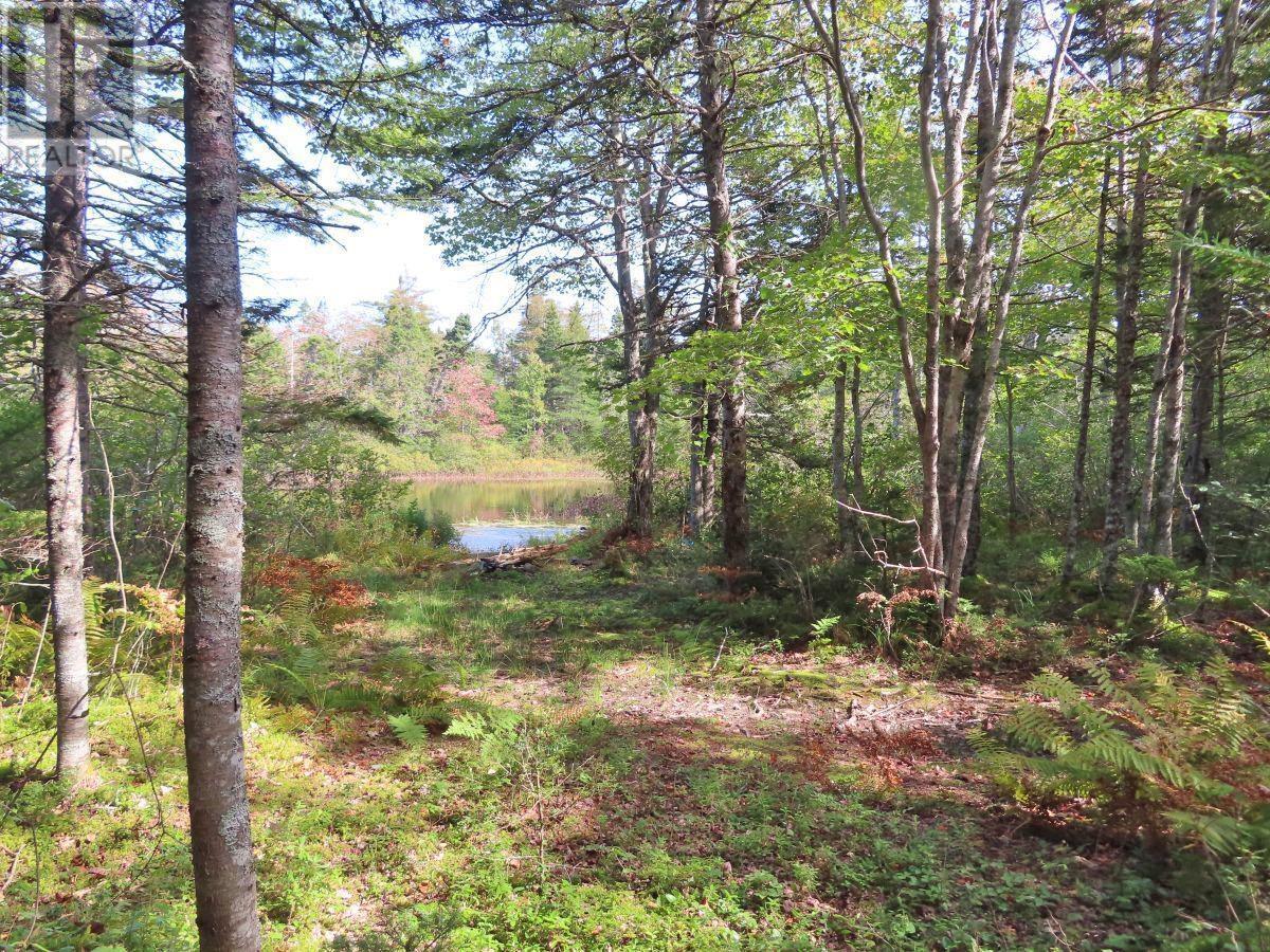 206 Highway, Lake Road, Grand Lake, Nova Scotia  B0E 1A0 - Photo 32 - 202316445