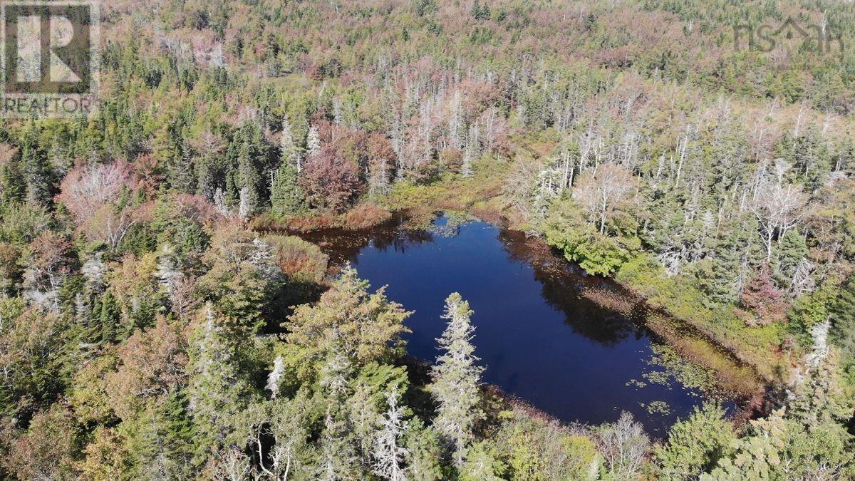 206 Highway, Lake Road, Grand Lake, Nova Scotia  B0E 1A0 - Photo 5 - 202316445
