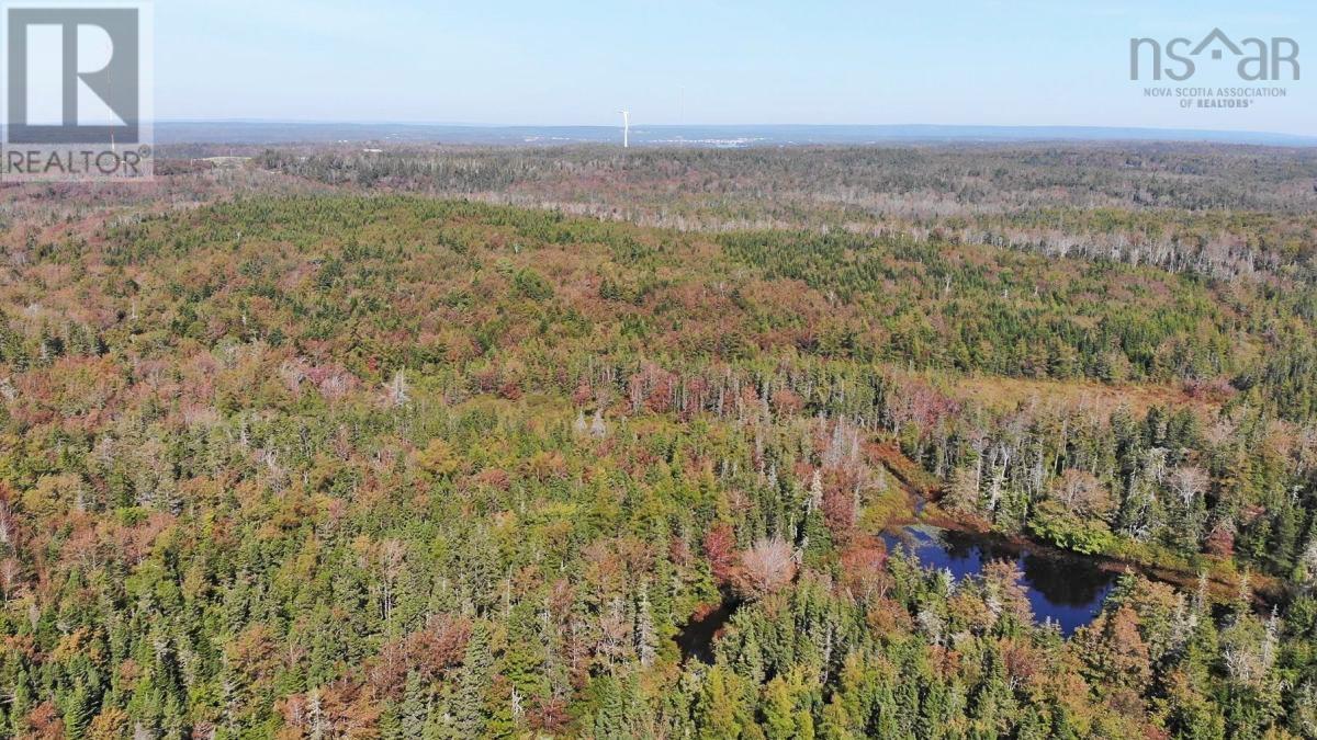 206 Highway, Lake Road, Grand Lake, Nova Scotia  B0E 1A0 - Photo 34 - 202316445