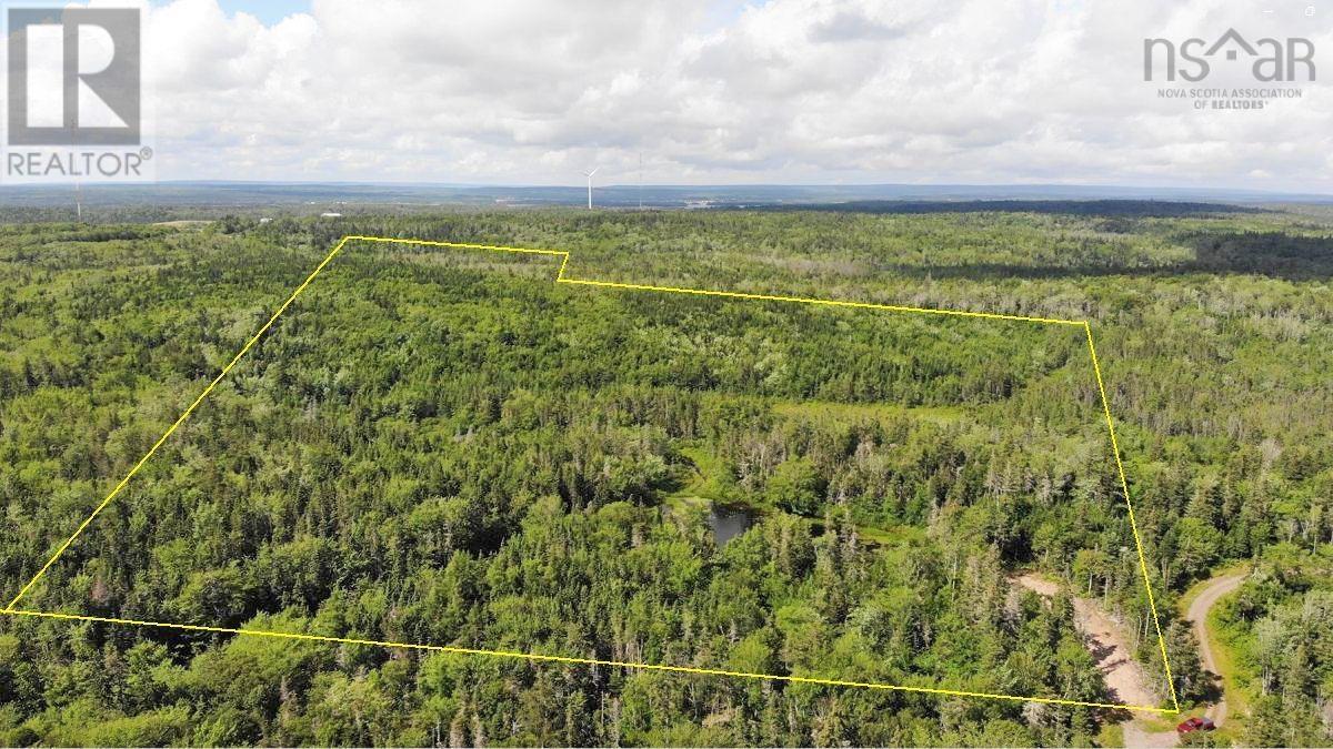 206 Highway, Lake Road, Grand Lake, Nova Scotia  B0E 1A0 - Photo 9 - 202316445