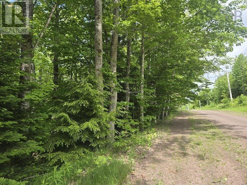 56 Acres Highway 256, East Earltown, Nova Scotia  B0K 1V0 - Photo 1 - 202519226