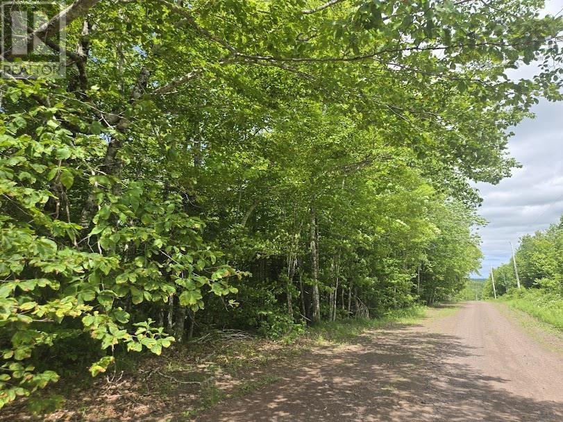 56 Acres Highway 256, East Earltown, Nova Scotia  B0K 1V0 - Photo 2 - 202519226