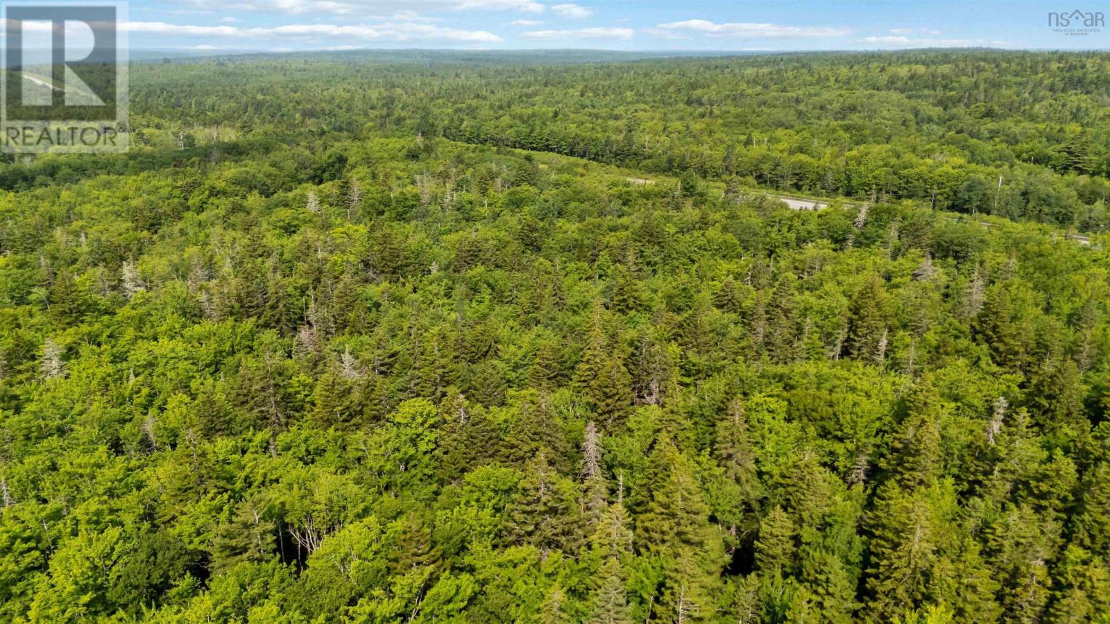 Lot (Pid 70055579) Beech Hill Road, Beech Hill, Nova Scotia  B0T 1G0 - Photo 26 - 202519254