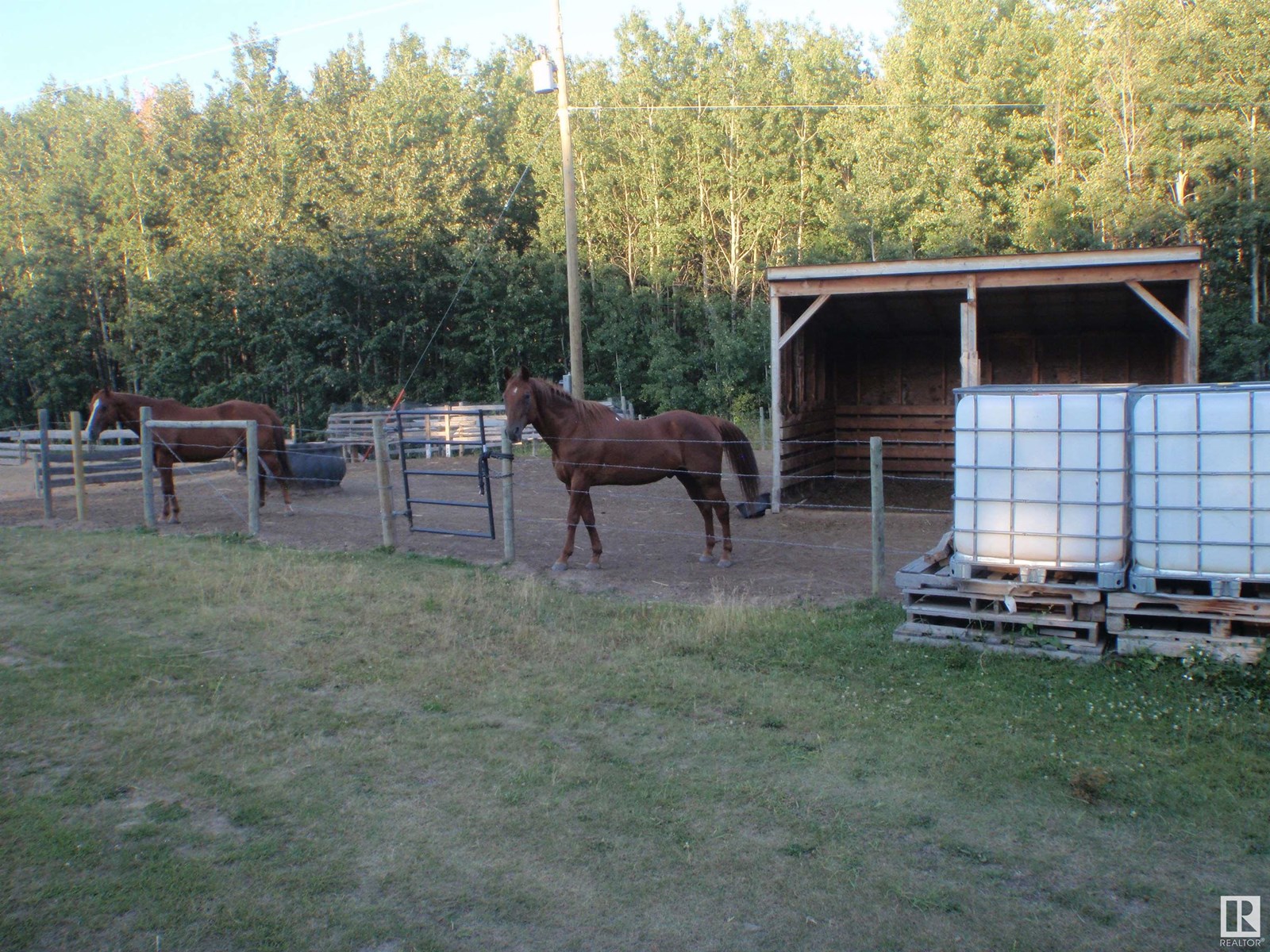 6206 Twp Rd 605, Rural Barrhead County, Alberta  T0G 2G0 - Photo 29 - E4450579