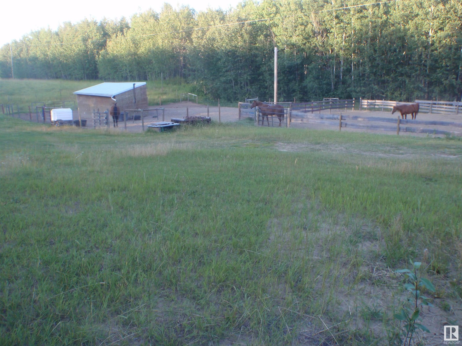 6206 Twp Rd 605, Rural Barrhead County, Alberta  T0G 2G0 - Photo 34 - E4450579