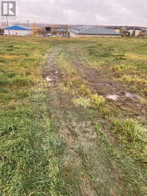4008 47 Street, Drayton Valley, Alberta  T7A 0A2 - Photo 3 - A2144743
