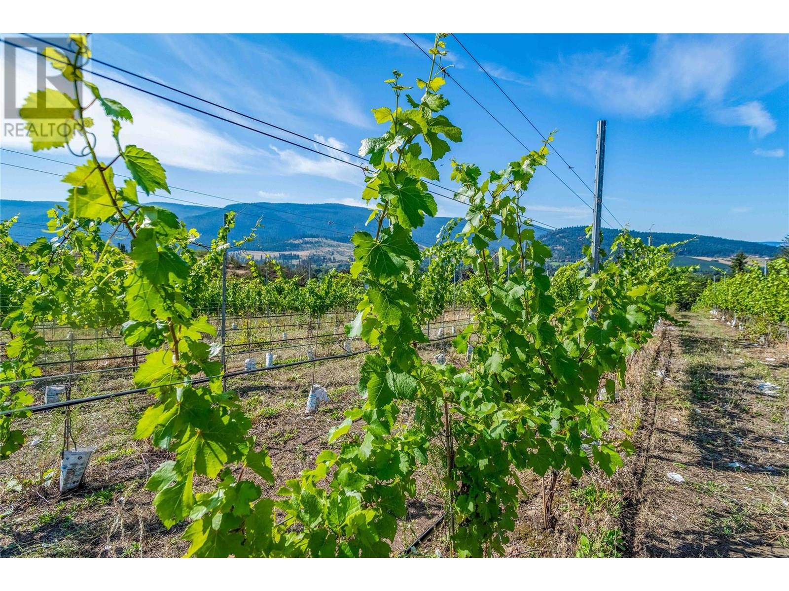 9269 Highway 6, Coldstream, British Columbia