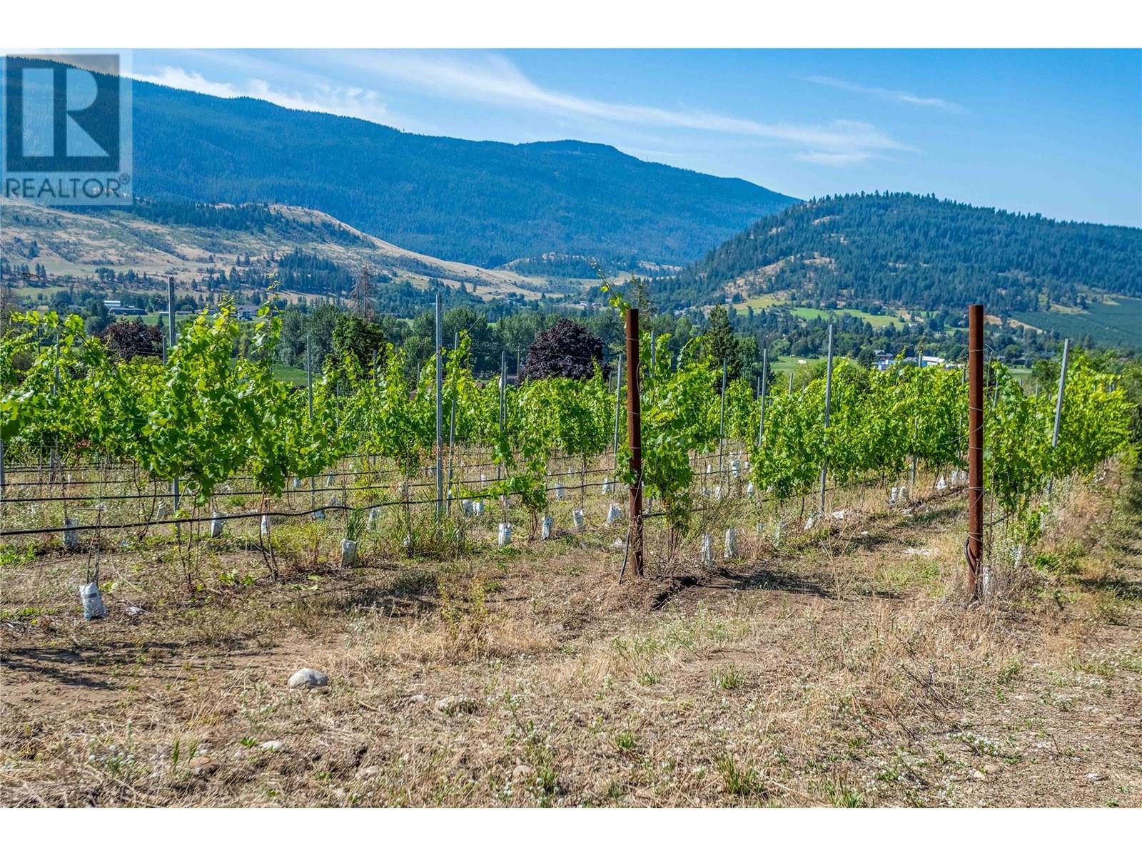 9269 Highway 6, Coldstream, British Columbia  V1B 3B5 - Photo 4 - 10329532