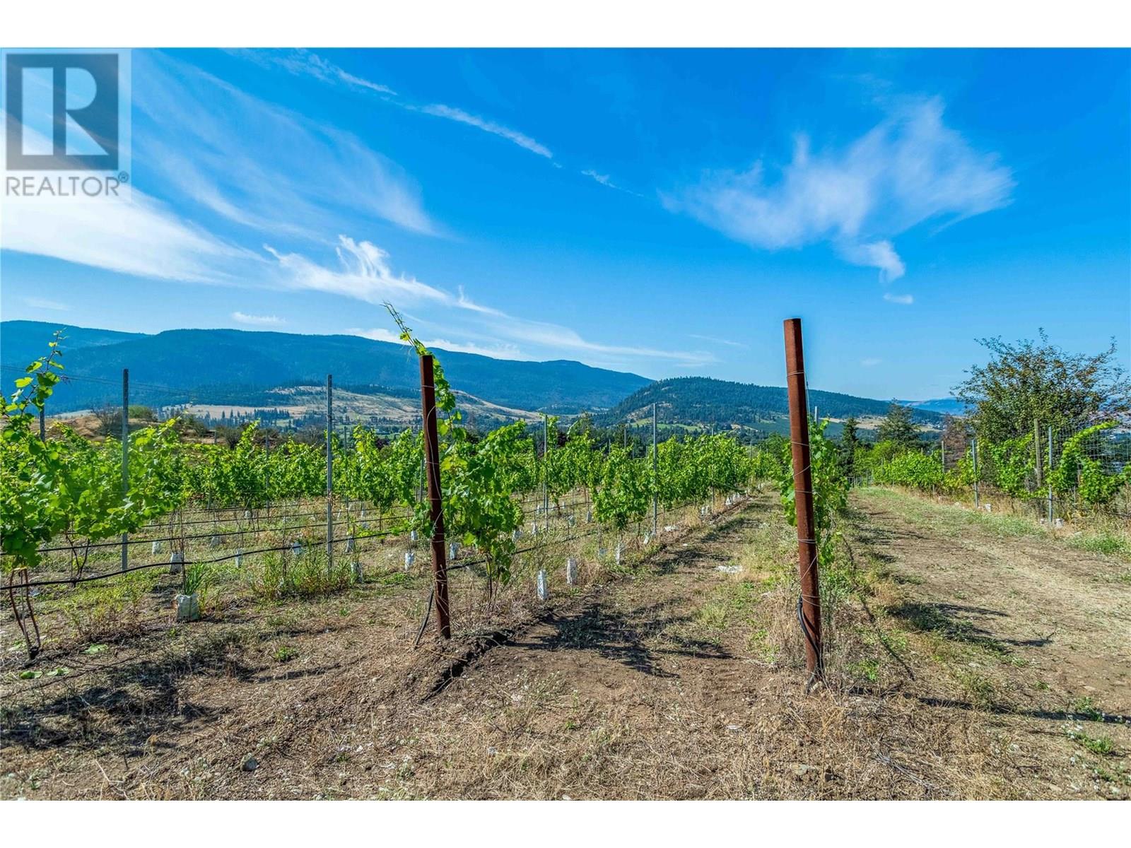 9269 Highway 6, Coldstream, British Columbia  V1B 3B5 - Photo 6 - 10329532
