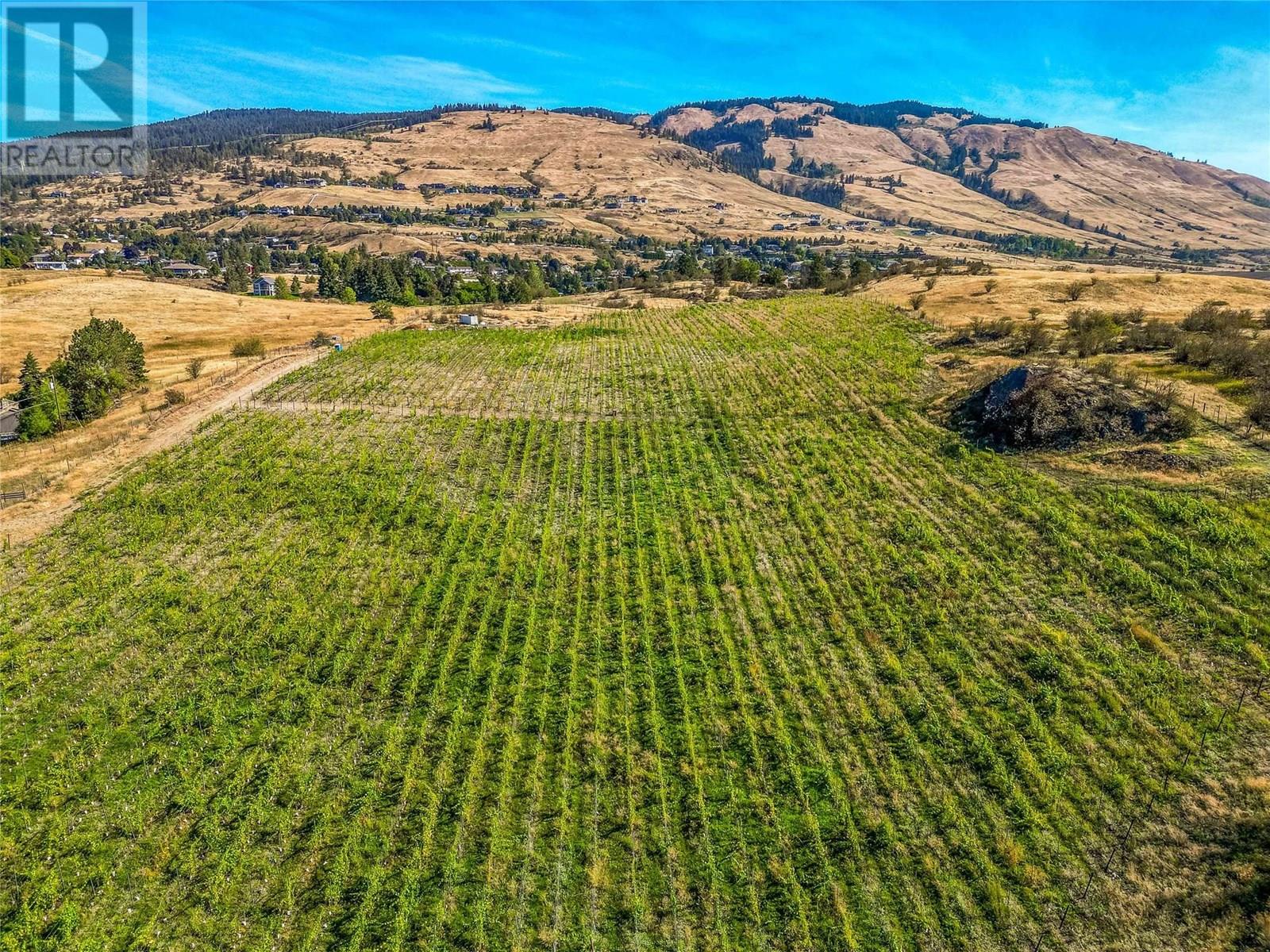 9269 Highway 6, Coldstream, British Columbia  V1B 3B5 - Photo 8 - 10329532