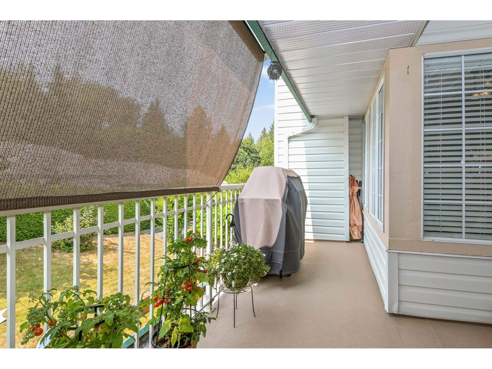 33 3115 Trafalgar Street, Abbotsford, British Columbia  V2S 8C5 - Photo 13 - R3032408
