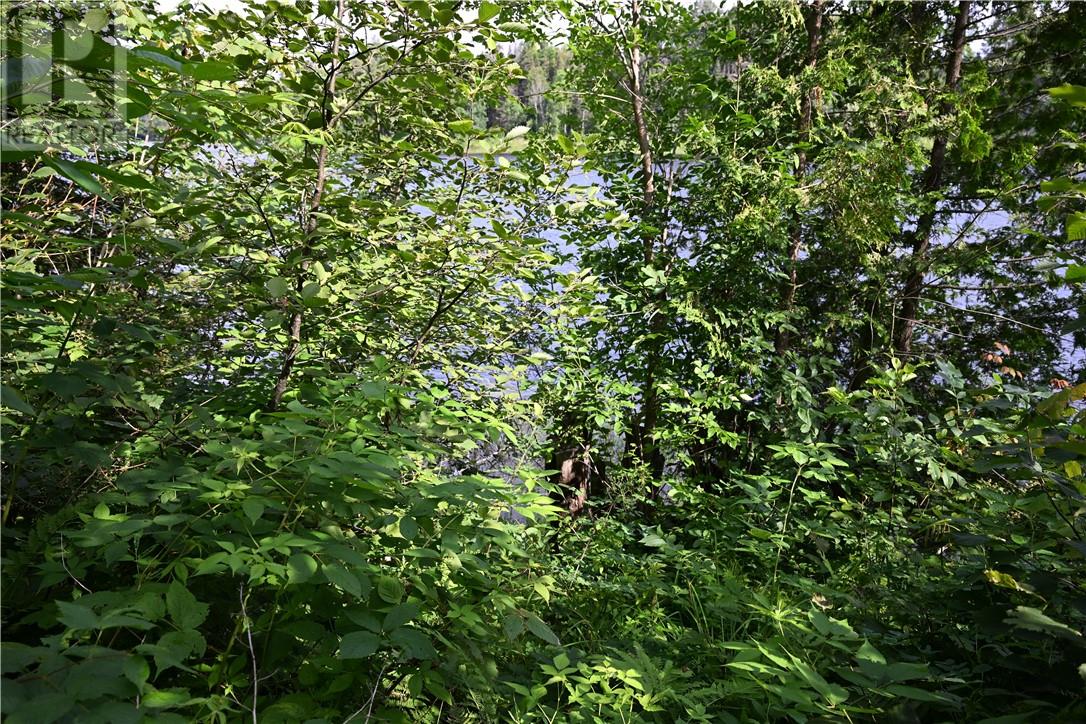 137 Lee Valley Road, Massey, Ontario  P0P 1P0 - Photo 12 - 2123878