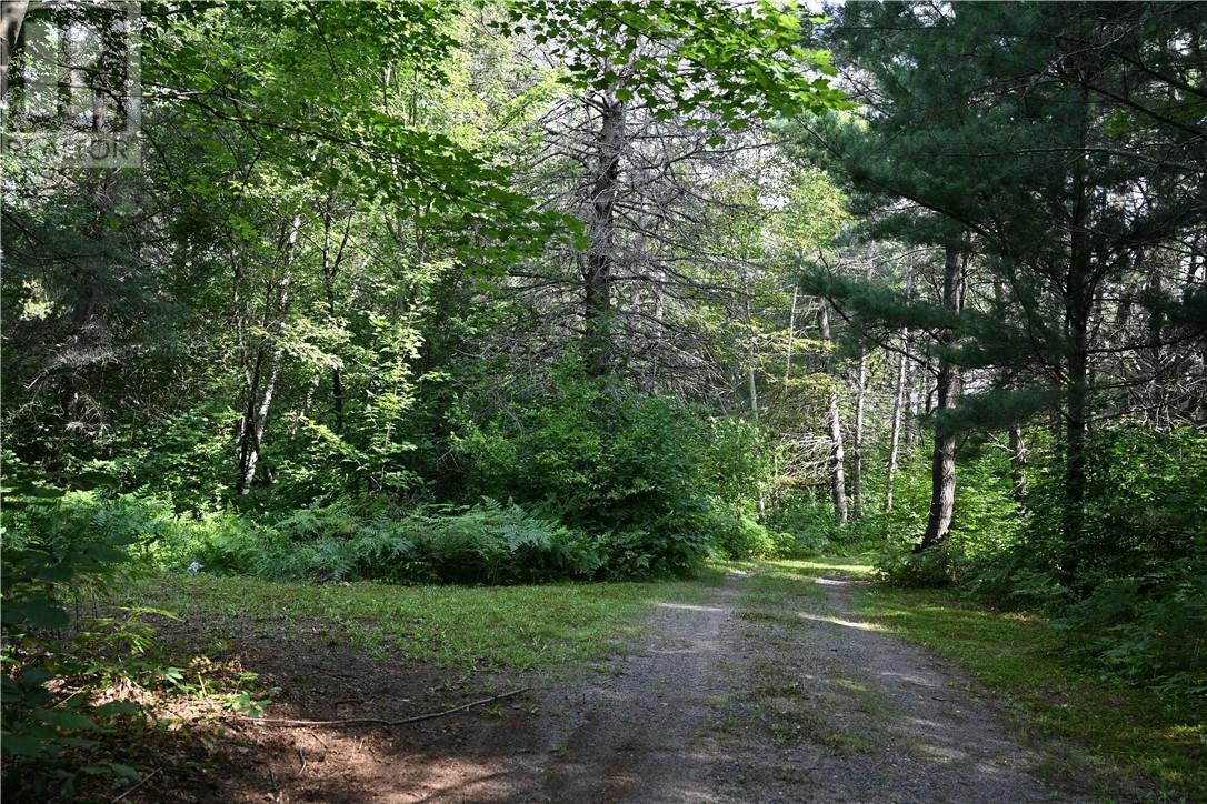 137 Lee Valley Road, Massey, Ontario  P0P 1P0 - Photo 3 - 2123878