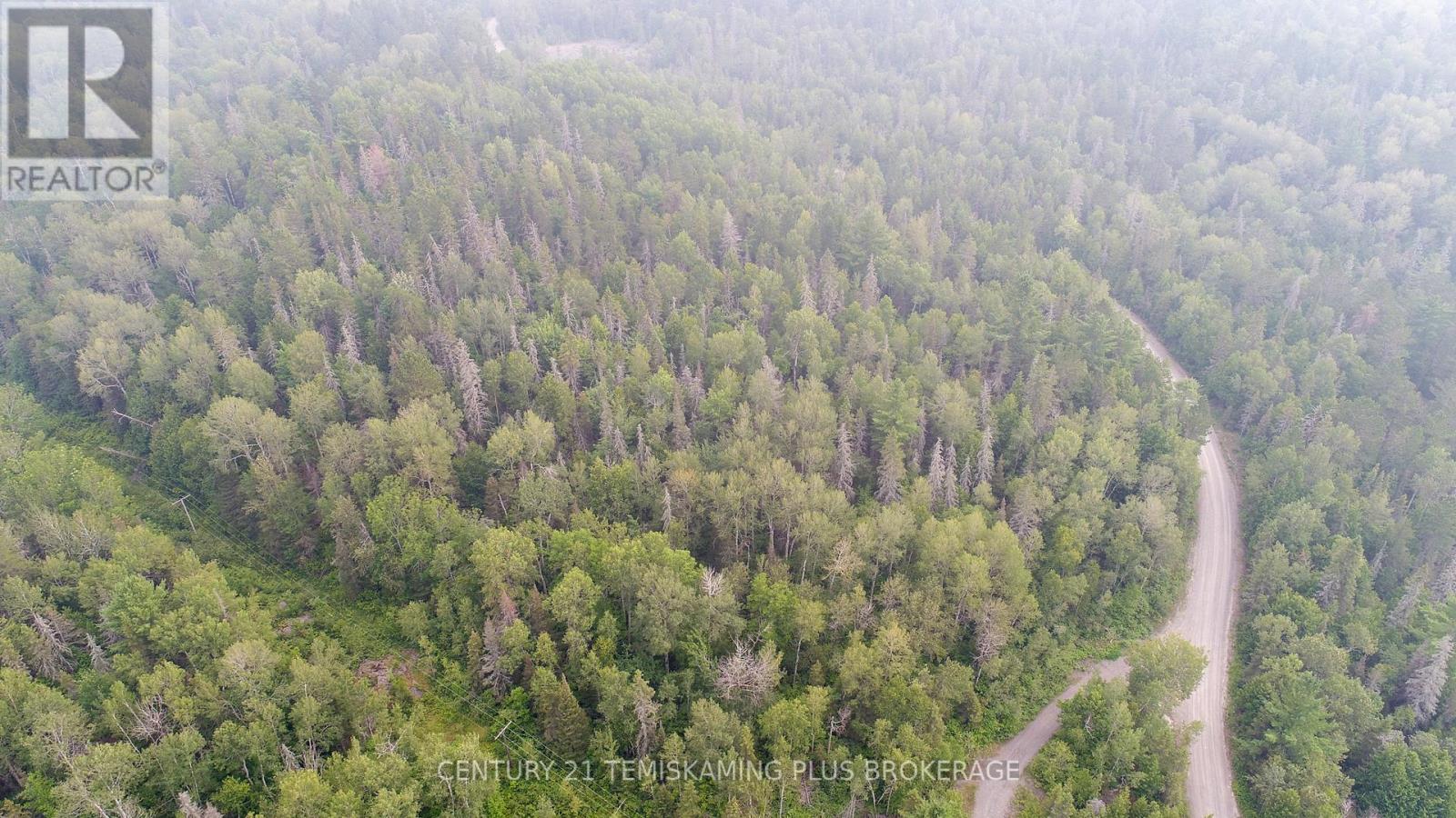 466500 Kerr Lake Road, Timiskaming (Tim - Outside - Rural), Ontario  P0J 1C0 - Photo 10 - T12318271