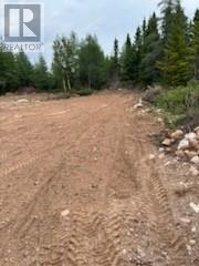 8a Sandy Stream Road, Howley, Newfoundland & Labrador  A0K 3E0 - Photo 12 - 1274895